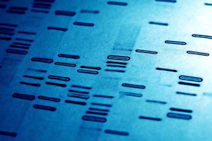 DNA fingerprints in blue tone.