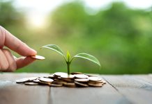 Young plant growing from heap of coins