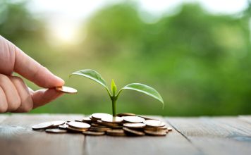 Young plant growing from heap of coins