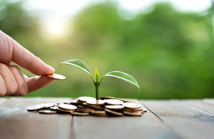 Young plant growing from heap of coins