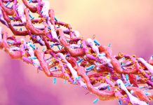 Collagen triple helix molecules.