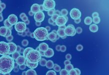 Cancer cells