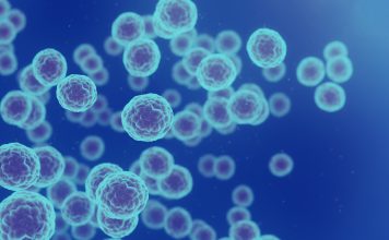 Cancer cells