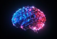 3d render Blue Red Illuminated Metallic Wireframe Glowing Human Brain on Black Background, Artificial Intelligence Concept