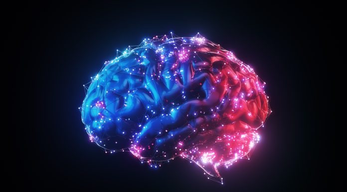3d render Blue Red Illuminated Metallic Wireframe Glowing Human Brain on Black Background, Artificial Intelligence Concept