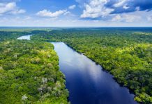 Amazon river in Brazil