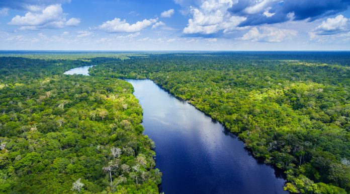 Amazon river in Brazil