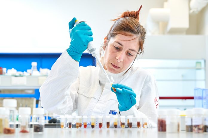 DNA from herbs and spices is isolated and purified using CTAB method: the purified DNA undergoes digital PCR and Next Generation Sequencing analyses to define the botanical fingerprint and the sample’s authenticity