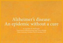 Alzheimer's disease: An epidemic without a cure