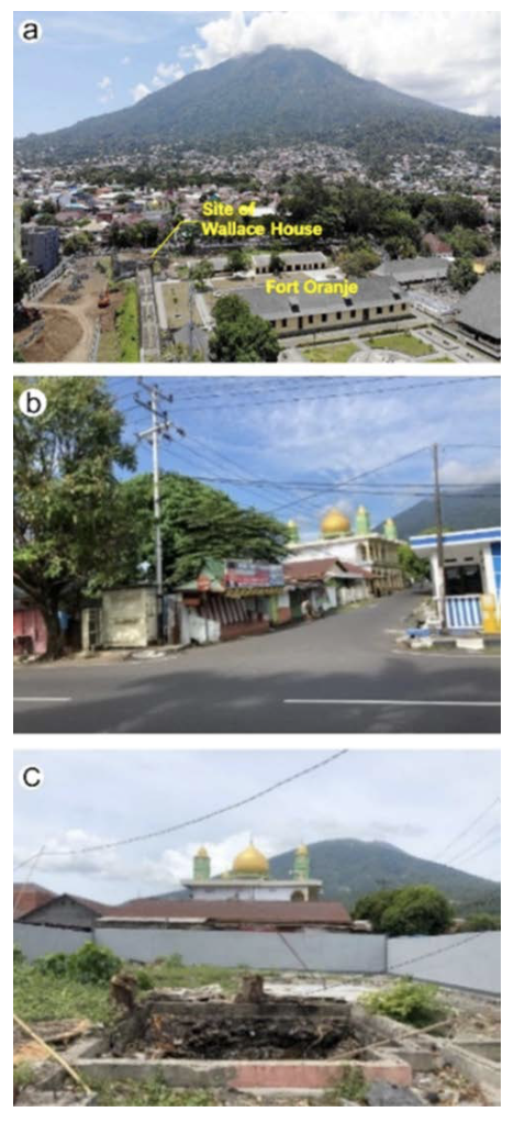 The Wallace House a) The site of the Wallace House; Photo Sinclair Stammers; b) View from Fort Oranje to the Oranje Site across Jln Merdeka to Jln Pipit, formerly the track used by Wallace; Photo George Beccaloni ©, 2019; c) The site in February 2020 after it had been cleared and boarded; Photo Krithika Varagur 2021.