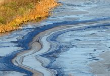 Oil slick in water