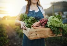 Autumn harvest