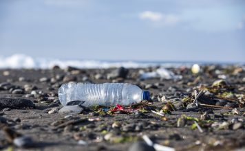 Plastic Water Bottle amongst trash on the beach