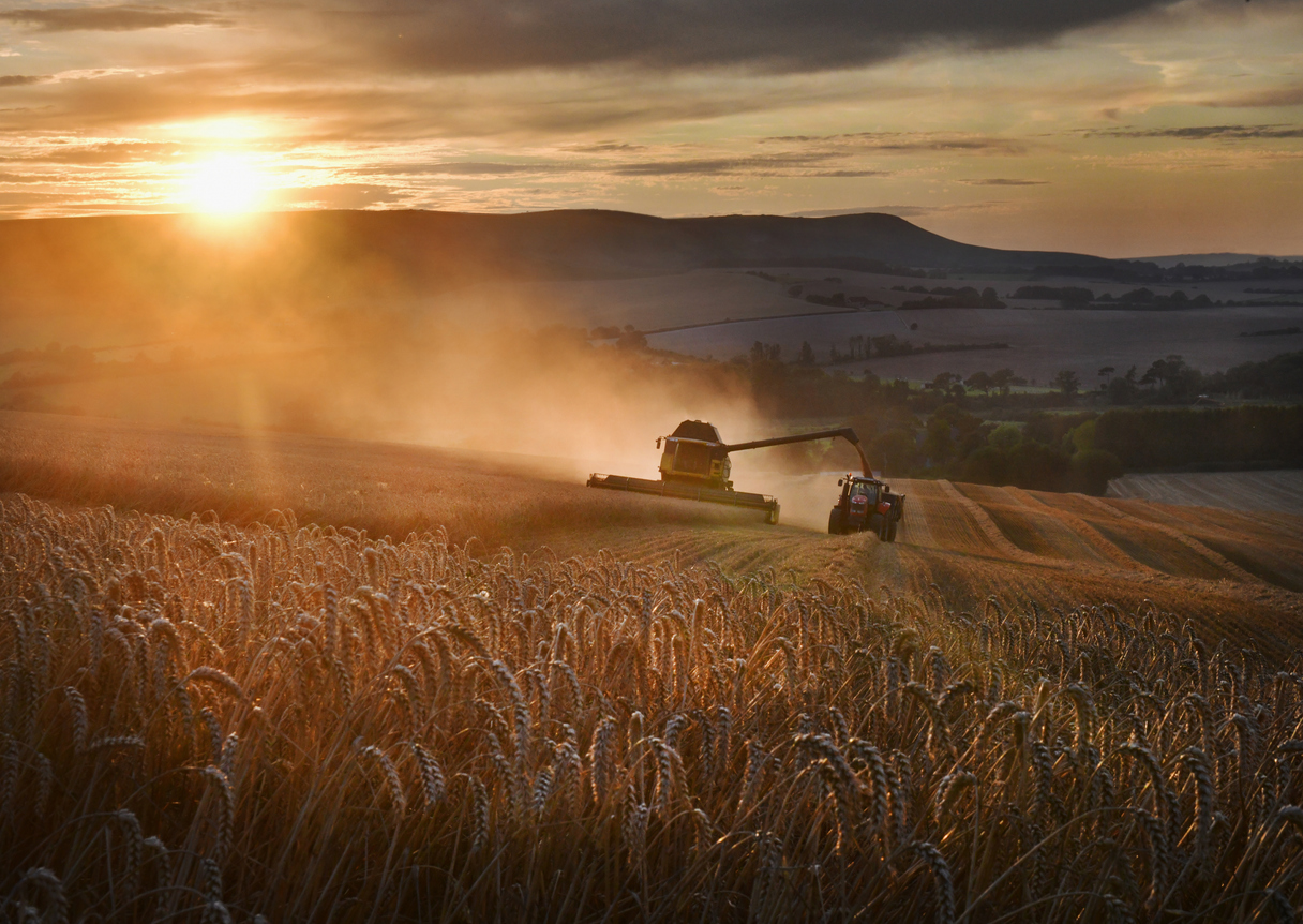 Regenerative agriculture: A new chapter in EU green farming policy
