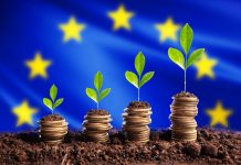 Economy European Union EU concept finance money is born in soil on plant with coins for successful investment