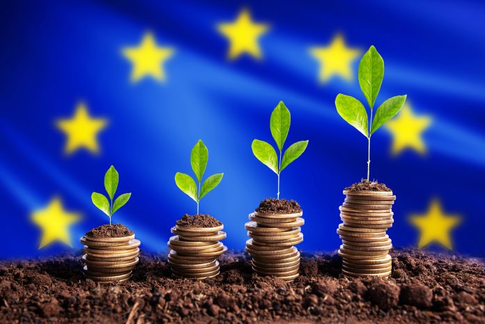 Economy European Union EU concept finance money is born in soil on plant with coins for successful investment