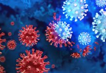 Mutating Virus Variant