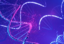 DNA spiral structure. DNA Helix complementary strand of Sequences genetic code or genome. Gene expression. nucleotide database. The Central Dogma process of transcription and translation. 3D Render.