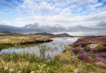 Landscape shot of moorland near Daliburgh, South Uist