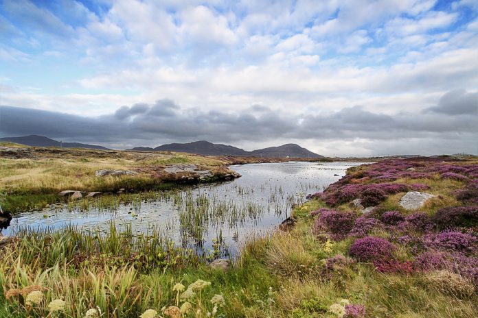 Landscape shot of moorland near Daliburgh, South Uist