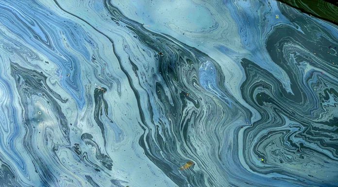 Fuel spilt on the River Lea in Hertforshire