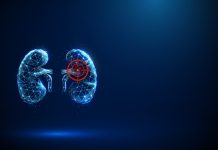 Blue human kidneys with a target sign. Kidney disease, inflammation, fibrosis, medical treatment, and diagnostic concept.