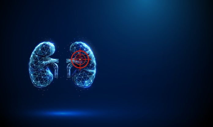 Blue human kidneys with a target sign. Kidney disease, inflammation, fibrosis, medical treatment, and diagnostic concept.