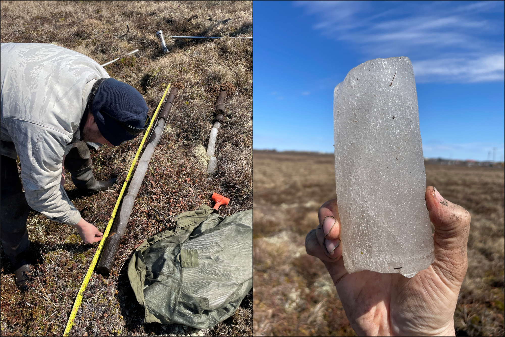 Figure 1: On right, Permafrost Grown team member Mikhail Kanevskiy analyzes a recent collect core collected from an ice wedge trough in Bethel, AK. On left, Mikhail holds a core section of wedge ice that will cause thaw subsidence if the permafrost it’s in degrades.
