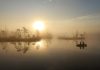 Peatland restoration results in Cena Mire in Latvia.