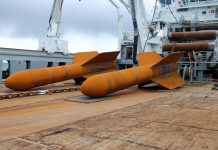 Figure 1. Deep Penetrating Anchors on deck image: ©Deep Sea Anchors AS
