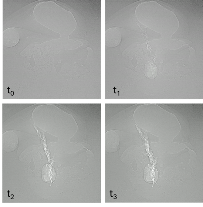 Figure 3. Example of a video sequence showing crack formation
