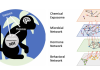 Figure 1. Hypothetical relationships among the chemical exposome, gut microbiome, and neuroendocrine system of a wild primate.
