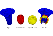 Figure 1: Vortex input, IR (shape of equilibrium), opposite face, combined.