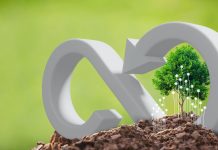 CSR concept tree with green economy