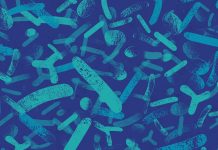 Abstract background depicting probiotics concept. Hand drawn elements and textures.