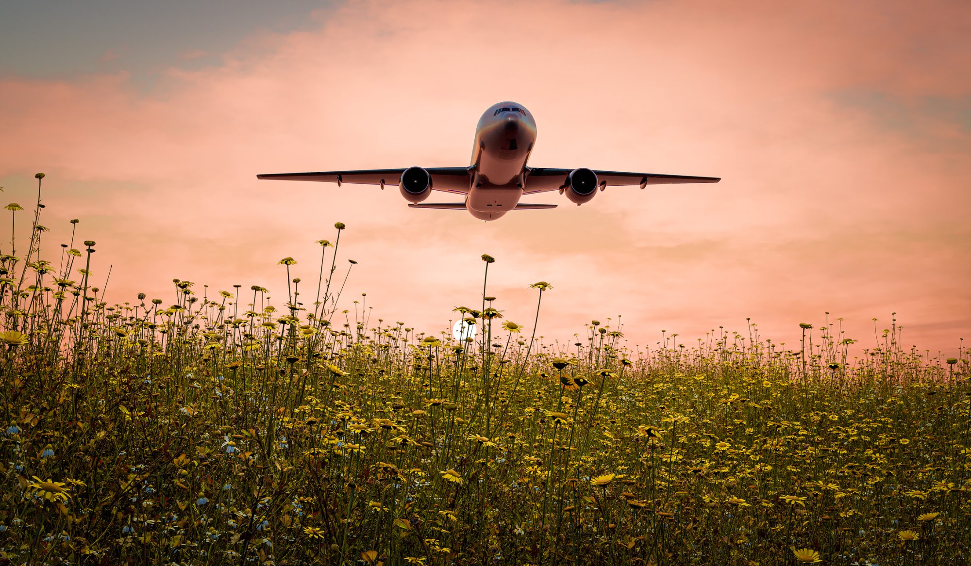 EU allocates €100 million in emissions allowance to boost green jet fuel use