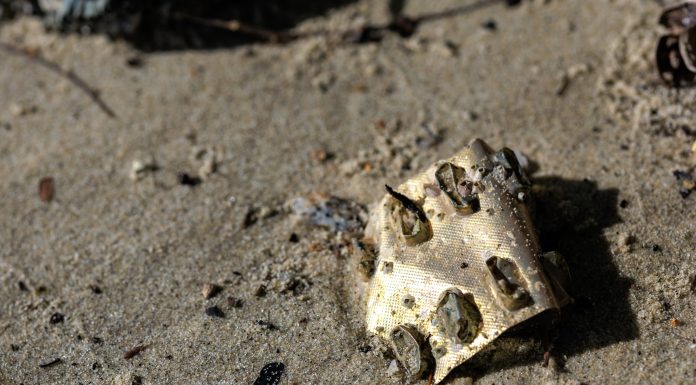 Plastic pollution at sea is a critical environmental issue with severe implications for marine ecosystems, wildlife, and human health