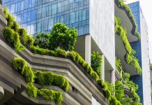 Vertical Garden – Sustainable Resources – Green Building