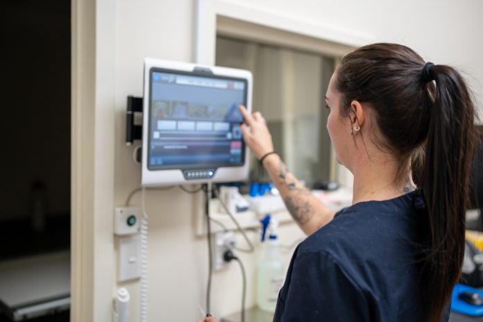 Female Doctor using Modern Medical Technology