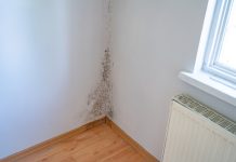 Wall Damaged By Black Mold And Fungus In Bedroom