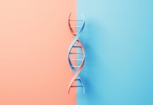 3d Render Different DNA Structures on Soft Blue Orange Colored Background, DNA Structure, Mutation and the Concept of Genetic Diversity (close-up)