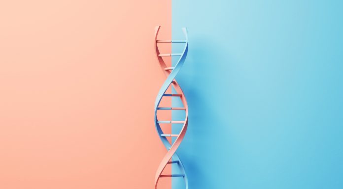 3d Render Different DNA Structures on Soft Blue Orange Colored Background, DNA Structure, Mutation and the Concept of Genetic Diversity (close-up)