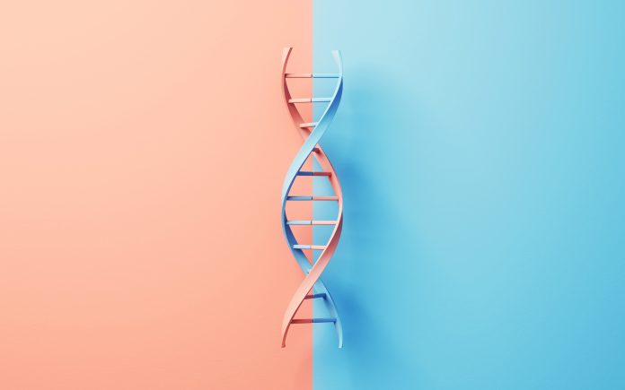 3d Render Different DNA Structures on Soft Blue Orange Colored Background, DNA Structure, Mutation and the Concept of Genetic Diversity (close-up)