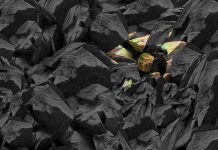 Rare Earth