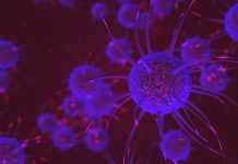 Neurons sending pulsating electric impulses and communicating with each other