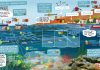 Figure 1. Overview of the SURIMI combined models integrated into the EU DTO. (1) POSEIDON, an agent-based model simulating fleet dynamics and fisher behaviour; (2) CMSY++, a stock assessment model for data-limited fisheries; (3) Ecopath with Ecosim (EwE), representing ecosystem interactions and bioflow; (4) Value Chain model, linking ecological and economic processes along the product flow; and (5) Fish Market model, capturing feedback between fisheries and market prices. These modular models can operate independently or be coupled to explore in-silico scenarios for holistic fisheries management.