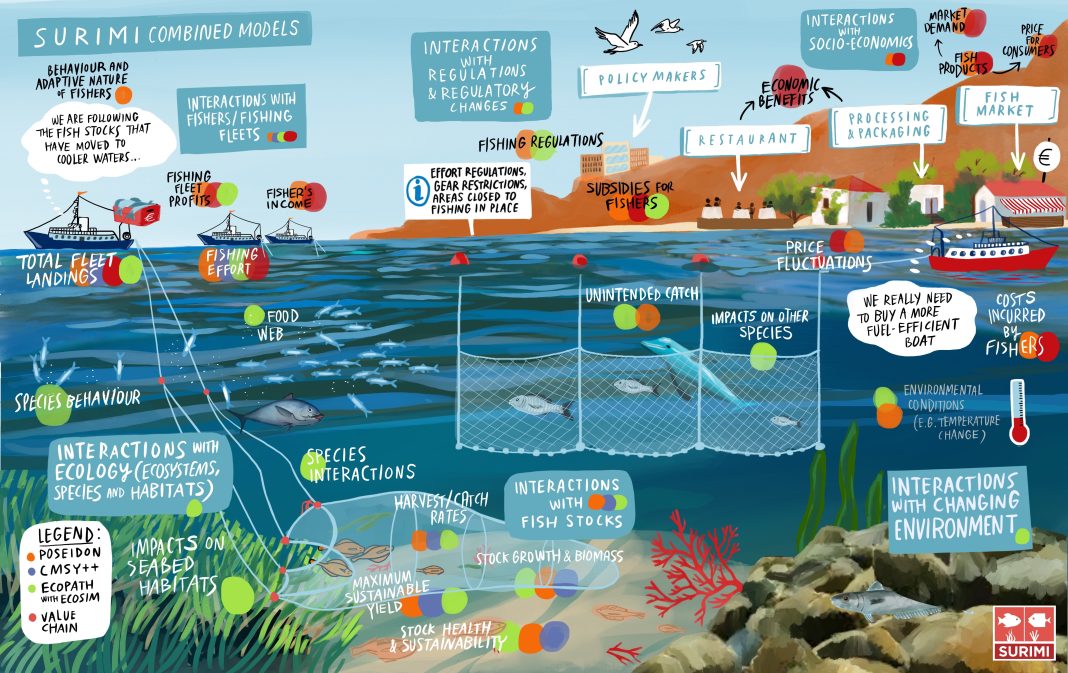 Figure 1. Overview of the SURIMI combined models integrated into the EU DTO. (1) POSEIDON, an agent-based model simulating fleet dynamics and fisher behaviour; (2) CMSY++, a stock assessment model for data-limited fisheries; (3) Ecopath with Ecosim (EwE), representing ecosystem interactions and bioflow; (4) Value Chain model, linking ecological and economic processes along the product flow; and (5) Fish Market model, capturing feedback between fisheries and market prices. These modular models can operate independently or be coupled to explore in-silico scenarios for holistic fisheries management.
