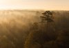 Carbon finance helps protect the Mississippi Band of Choctaw Indians’ tribal lands, a sacred landscape central to the community’s identity and stewardship. Image: © National Indian Carbon Coalition