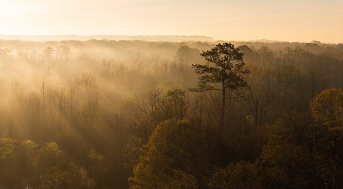 Carbon finance helps protect the Mississippi Band of Choctaw Indians’ tribal lands, a sacred landscape central to the community’s identity and stewardship. Image: © National Indian Carbon Coalition