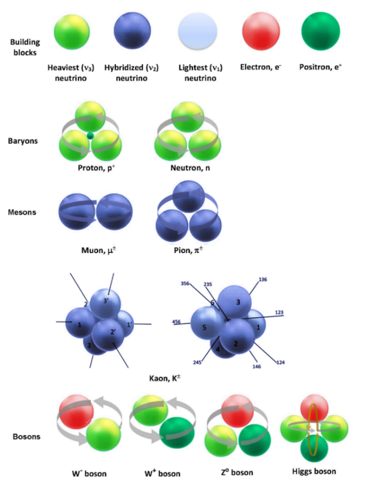 Figure 3. The elementary particles of the RLM. (top line) and the RLM structures and composition of baryons, muons, pions, kaons and bosons. (6) Figure 3 shows the geometries of the most common hadrons and bosons used to compute their masses via the RLM, while Figure 4 compares these computed masses with the experimental ones. (4) Agreement is typically better than 2%.